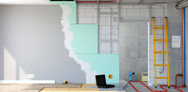 Best Crawl Space Mold Remediation  in Nome, AK