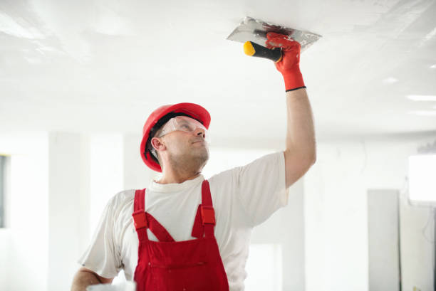 Best Asbestos and Lead Testing During Mold Inspection  in Nome, AK