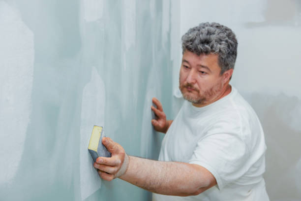  Nome, AK Mold Removal Pros