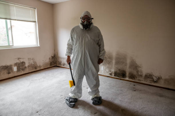 Best Mold Remediation for Healthcare Facilities  in Nome, AK